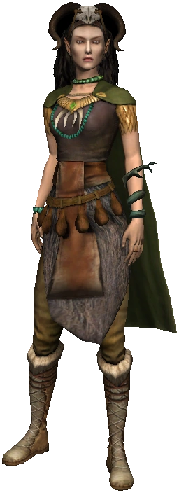 People Elf sorceress full