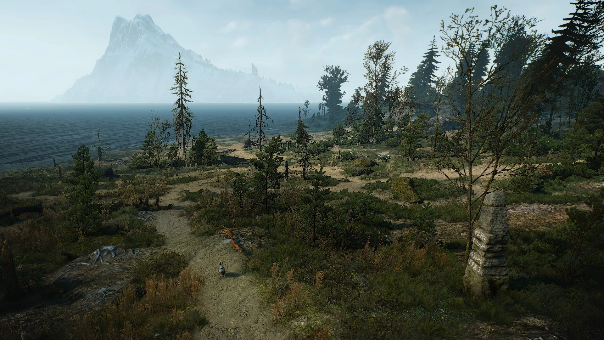 Дикий берег1В3