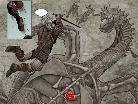 Дракопаха анатомия