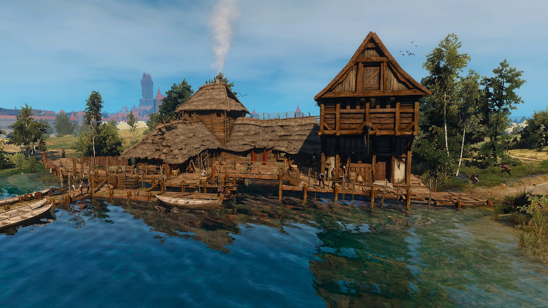 Гусиная гузка днемВ3