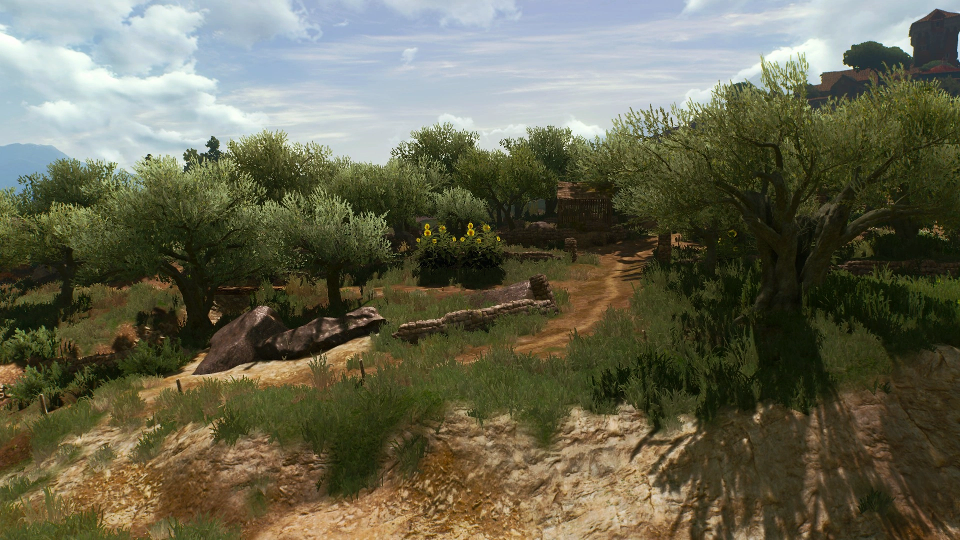 ОливковаяРощаВ3