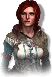 Tw2 journal Triss