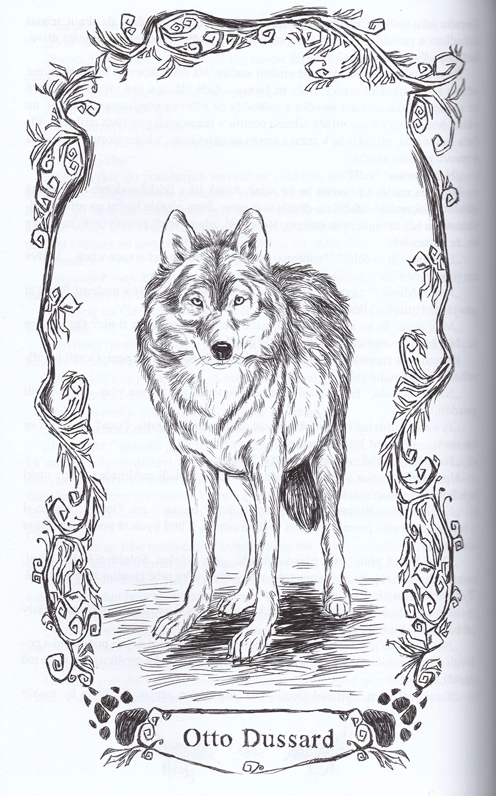 Отто дусарт