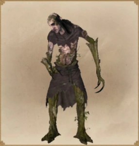 БоровойСЛЕЕР