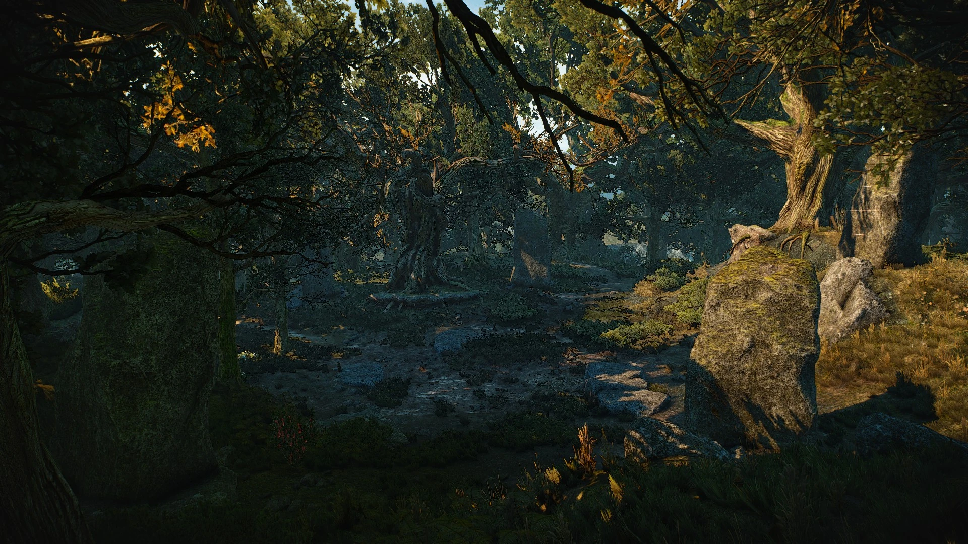 Волчье урочище1В3