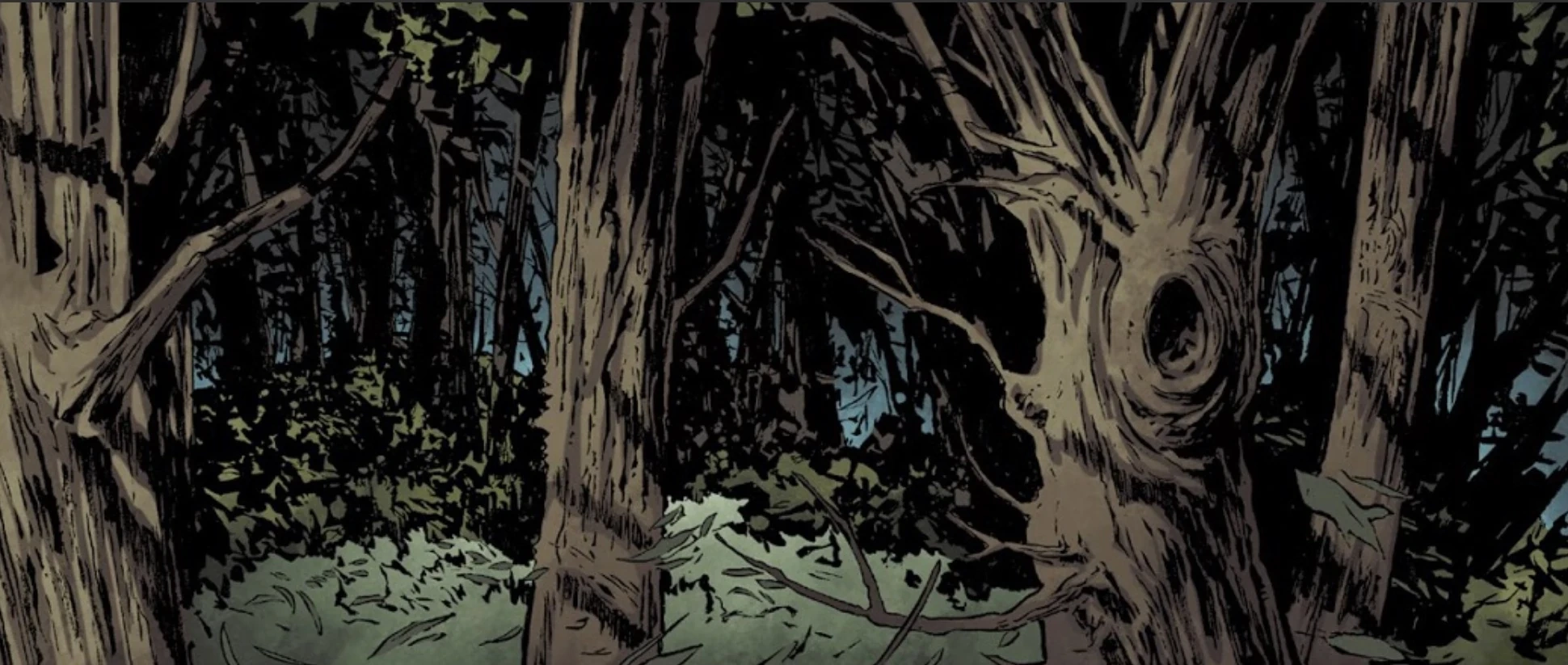 Каэд Дху ДВ