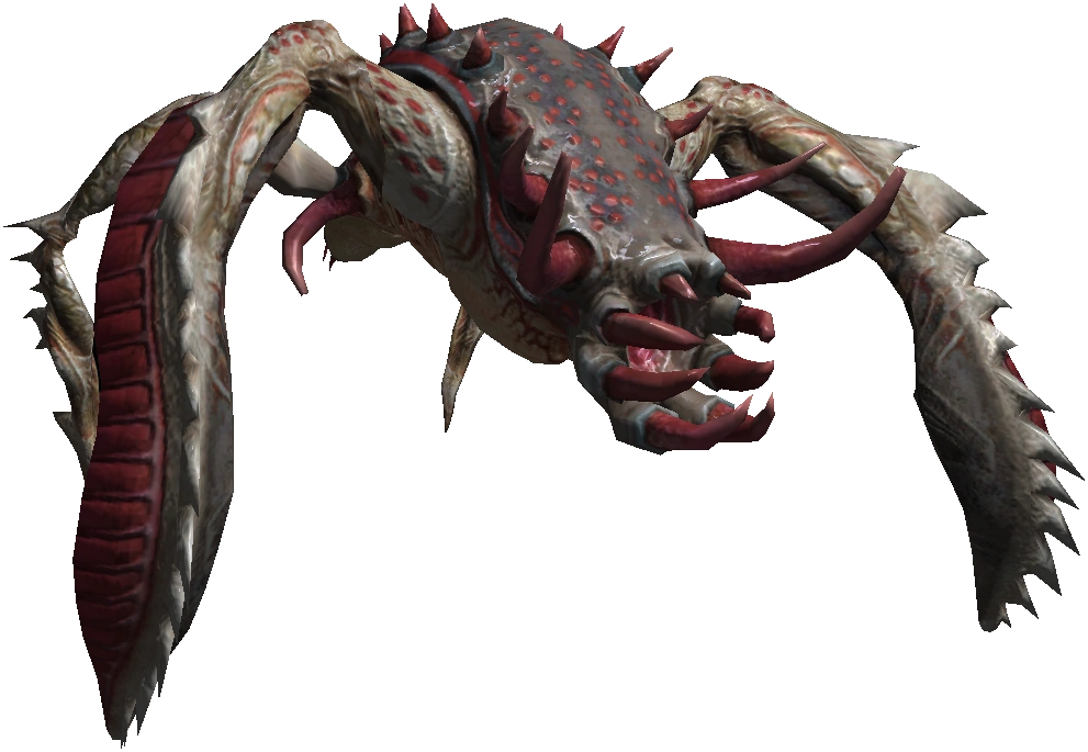 Bestiary Kikimore warrior full