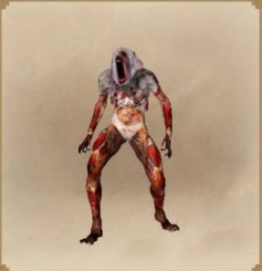 ГнилецСЛЕЕР