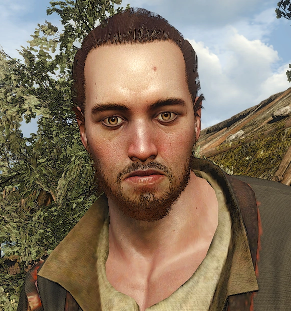 Бронник (Ларвик)