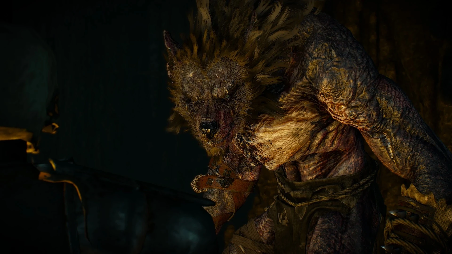 Моркварг№8