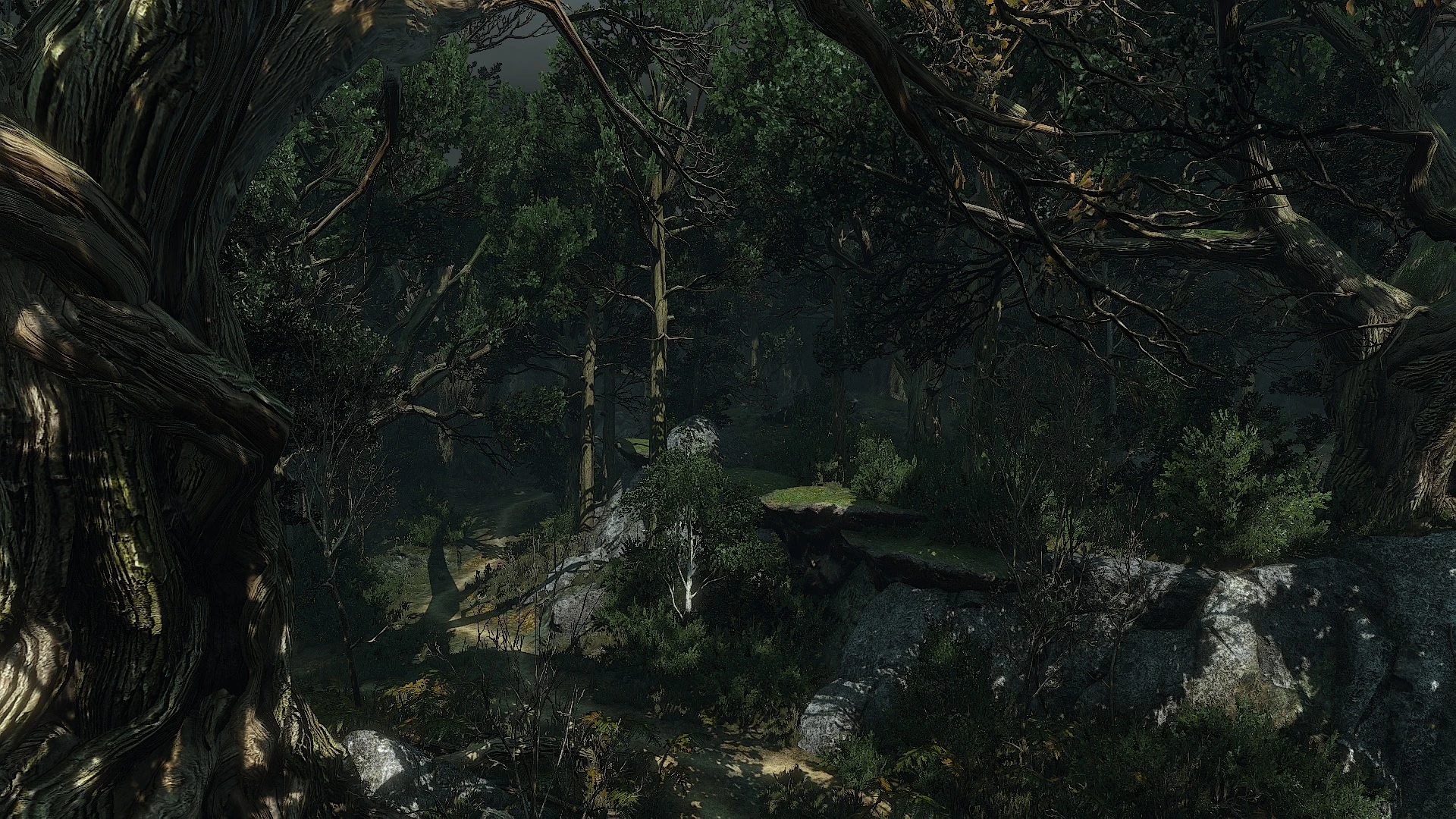 Трупная чаща КС