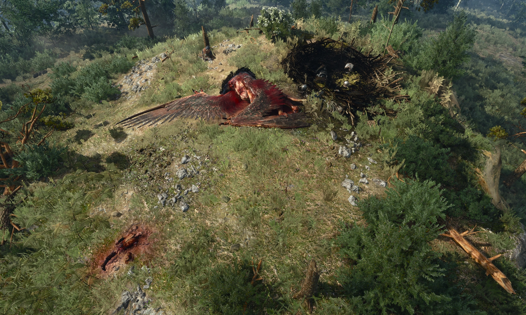 ГнездоГрифонаВ3