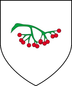Герб донильфгаардского рована-(1)