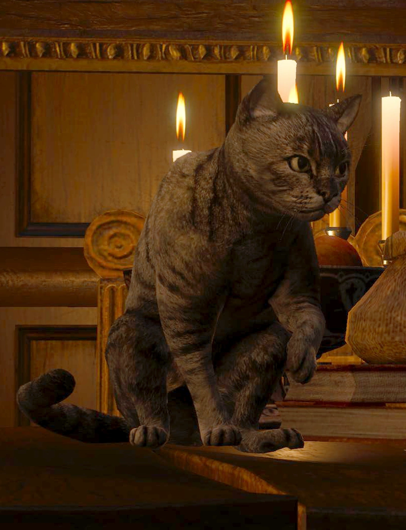 Кошка в игре 