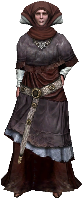 Горожанка2В1