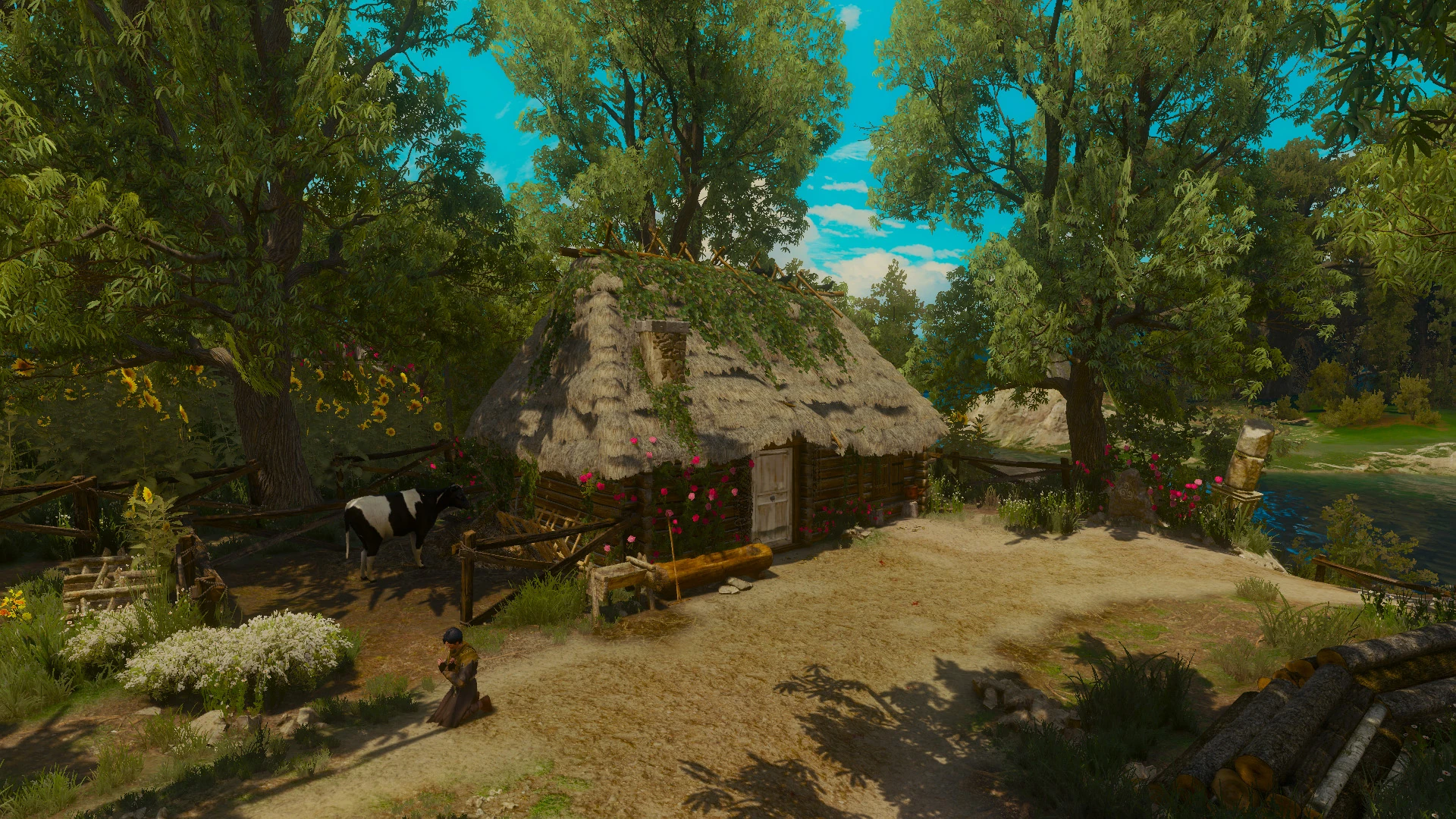 Пустынь пинастри1В3