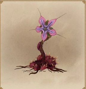 ЛилейнаяАрхеспораСЛЕЕР