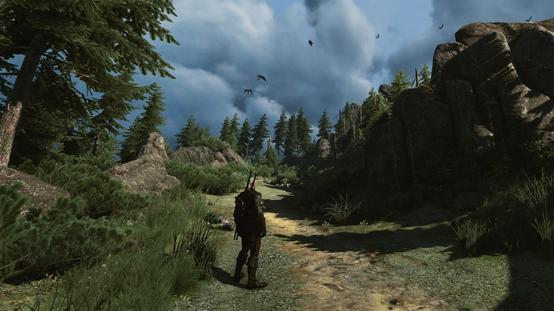 Охотничьи земли гарпий №5