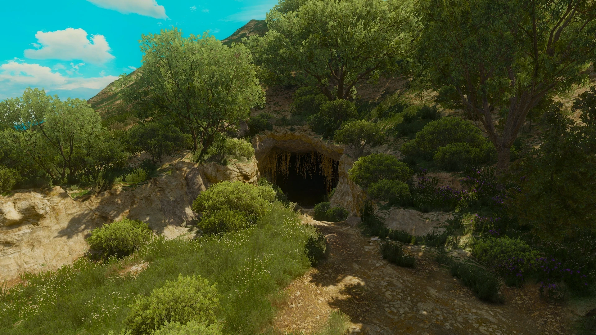 ГротАльбертусаВ3