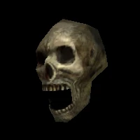 ob_skullvar01