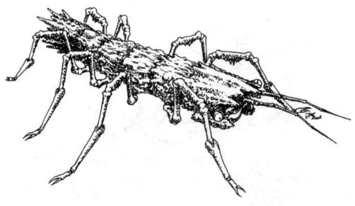 ГловоглазИВ