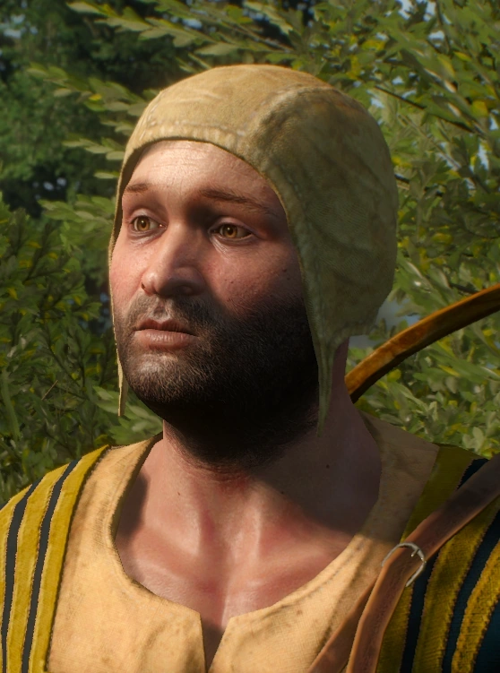 Ян Геермер В3