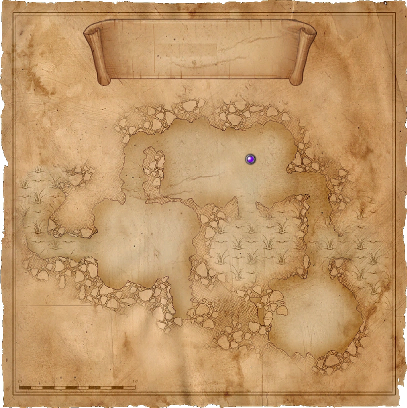 Карта пещеры в лесу на болотах