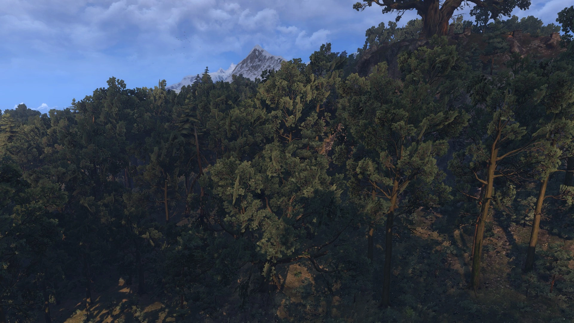 РощаГединейтВ3