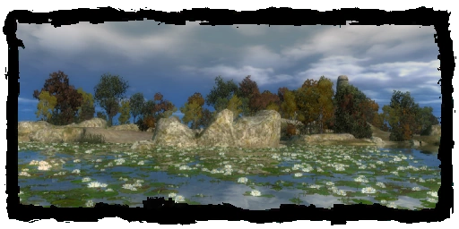 Places Black Tern Island 2