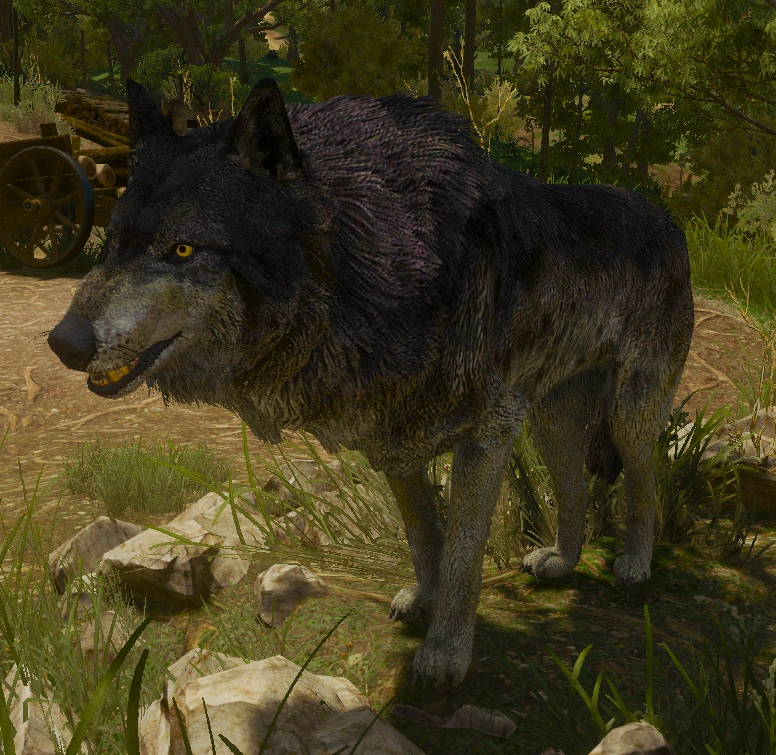 МоргольтПесКиВ