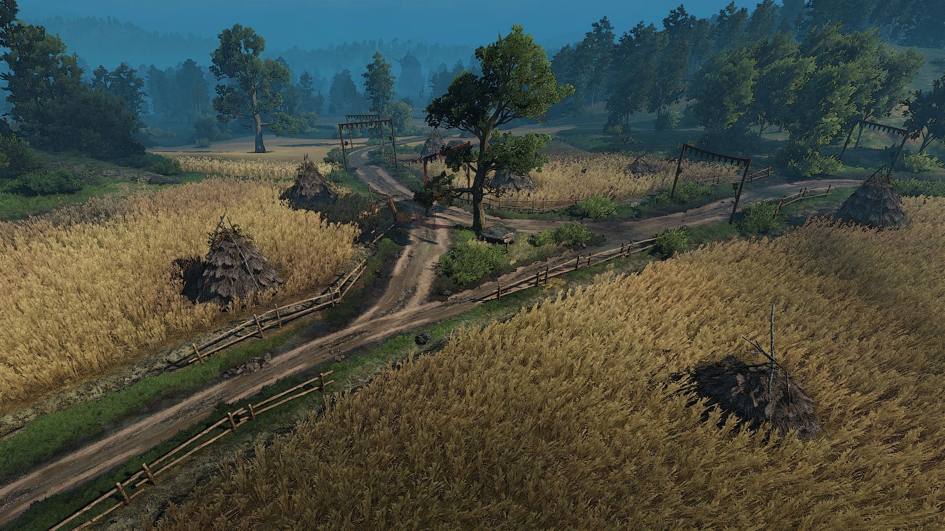 Поля пшеницы1В3