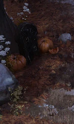 Осенняя доска