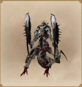 ХимераСЛЕЕР