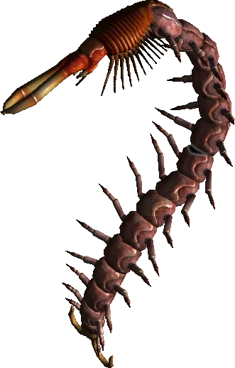 Сколопендроморф2В1