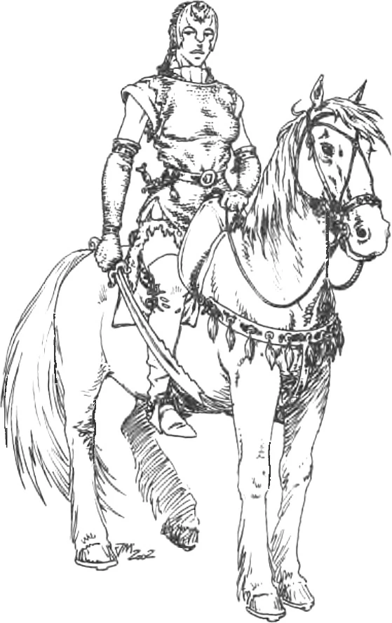 Зерриканская стражница,