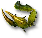 Останки инсектоида