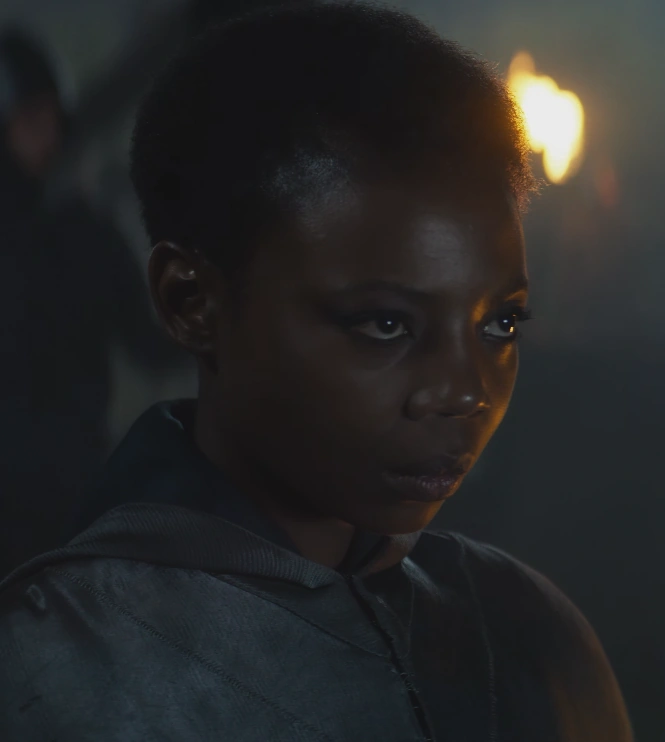 ФрингильяСВ