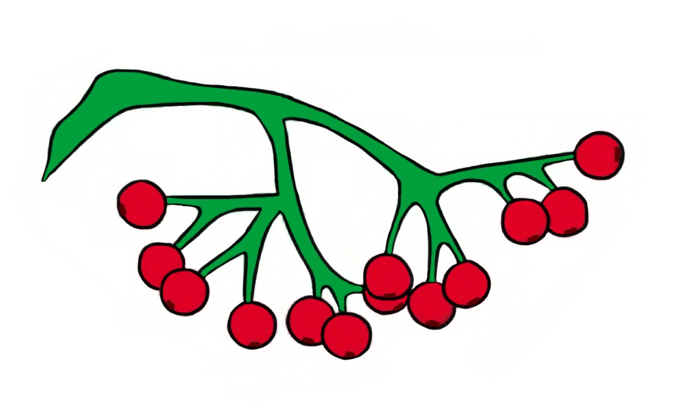 Флаг рована