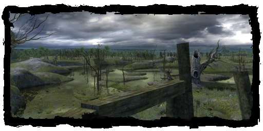 Places Old Manor swamp