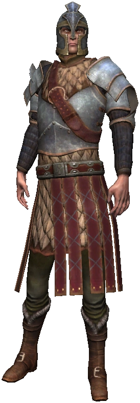 Командир отрядаВ1