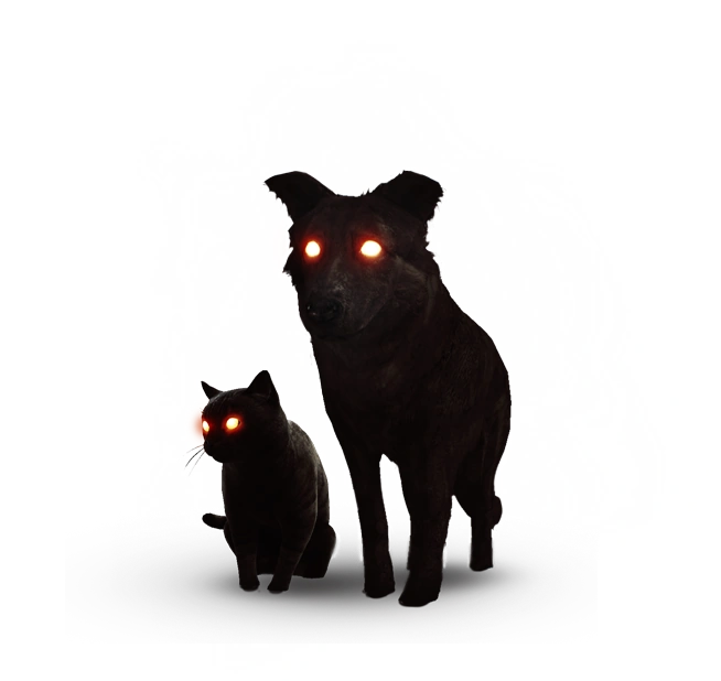 Черный пес и котВ3