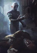 Дуду, Гвинт: Ведьмак. Карточная игра