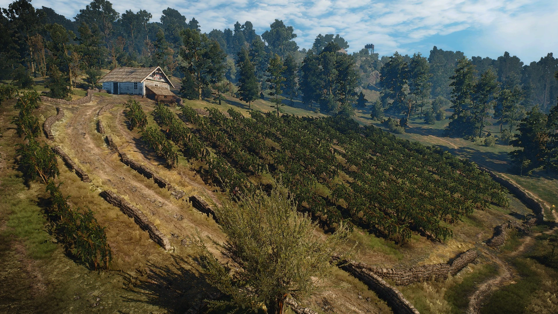 Шато саррастин1В3