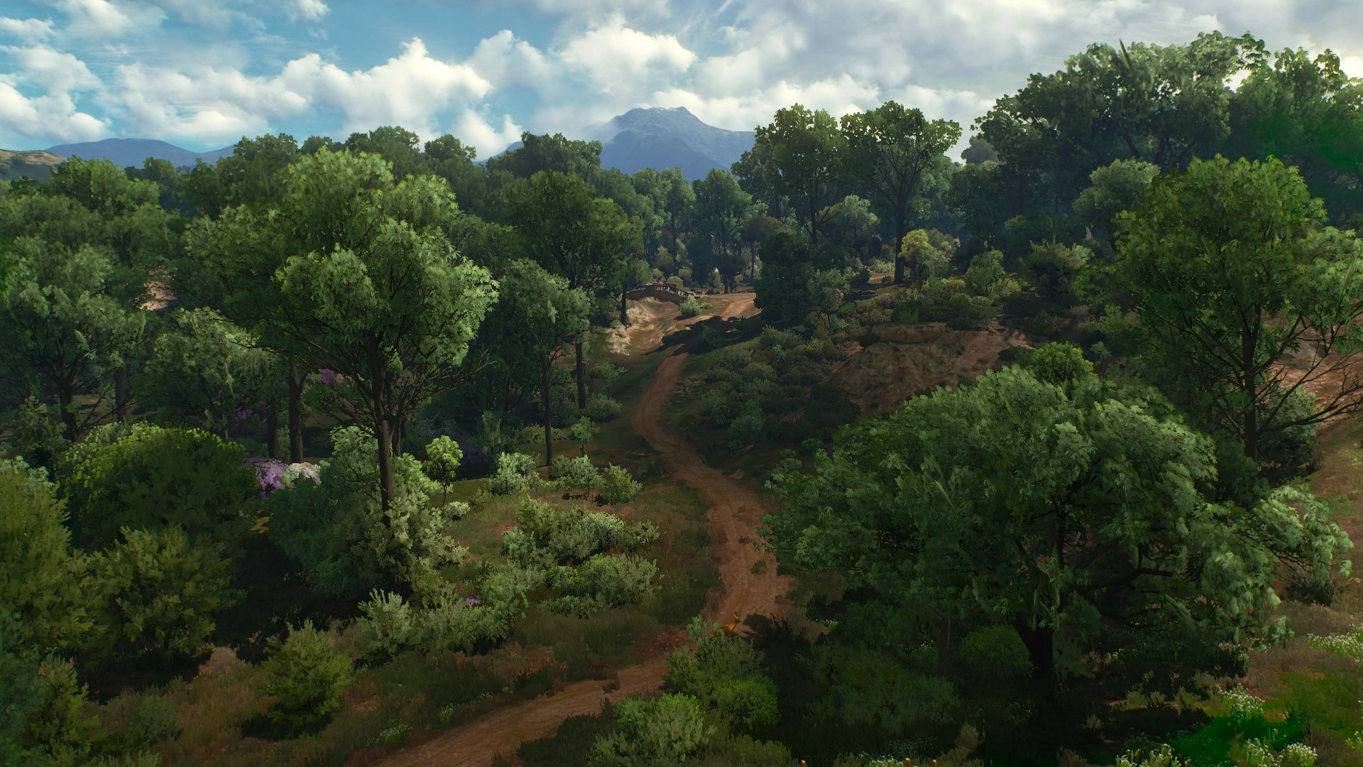 ЛесаКаробертыВ3