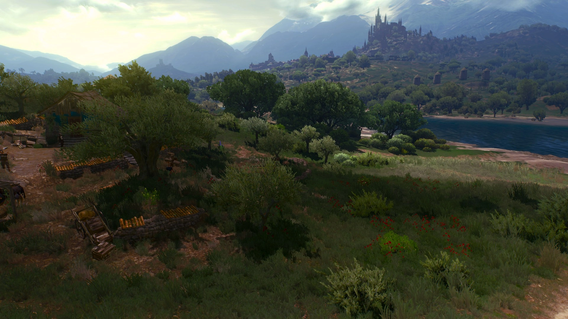 ТихийБерегВ3