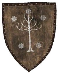 Щит на стену1