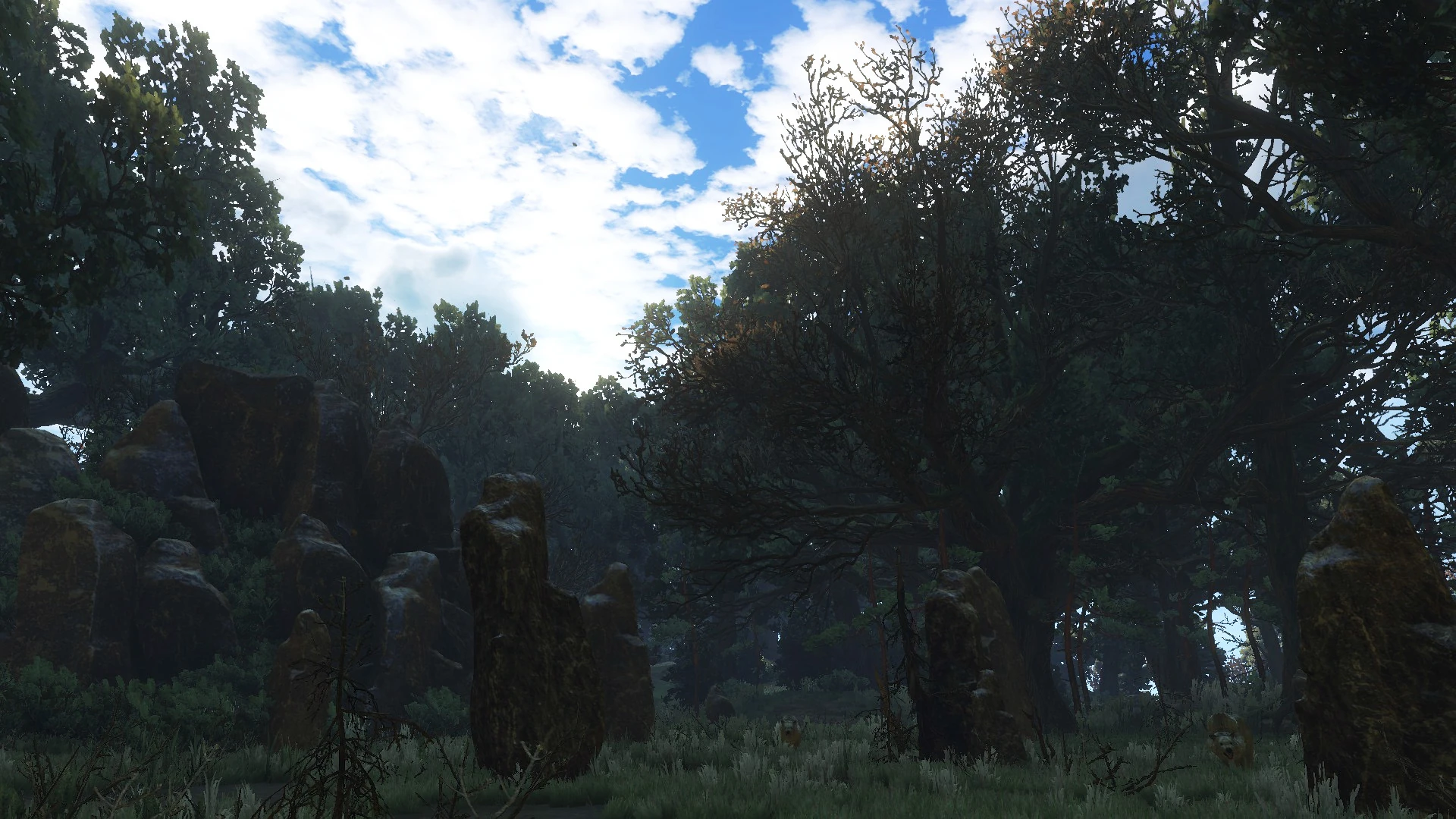 Ферлундский лес В3