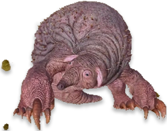 ЭхинопсВОЧ