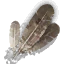 Tw3 harpy feathers