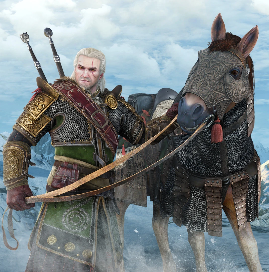 Tw3 dlc skellige armor set